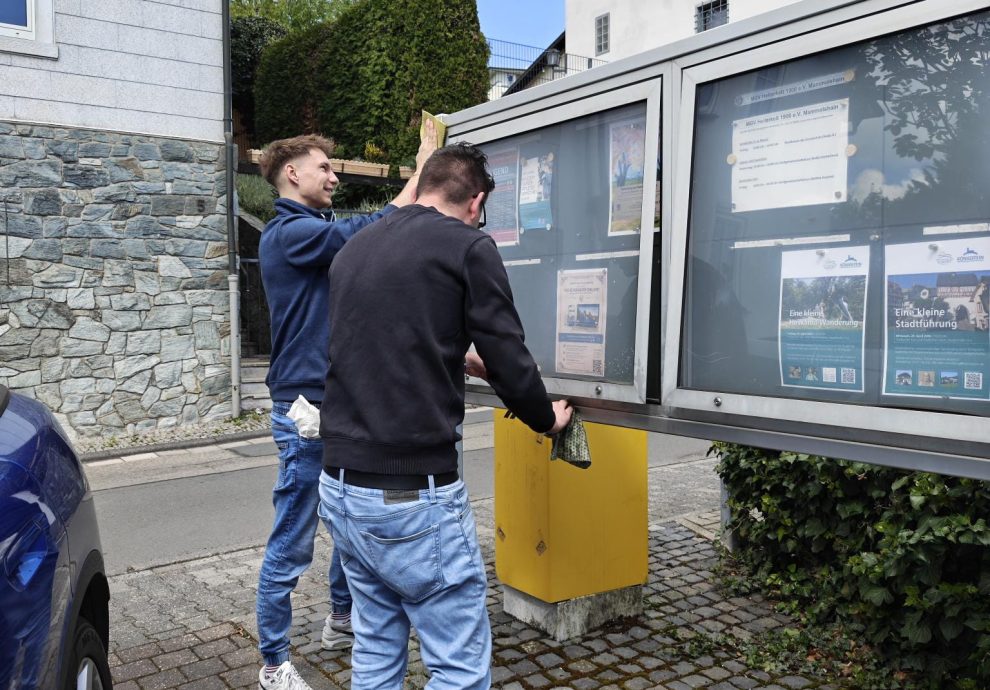 Reinigung des Schaukastens