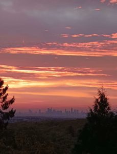 Diesen herrlichen Blick auf die Skyline von Frankfurt hat man nur von Mammolshain
aus! - Eingereicht von Birgit Gumbert Fotowettbewerb Mammolshain - 13