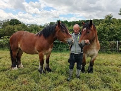 Zurück zum waldschonendem und ackerfreundlichen Arbeiten. - Eingereicht von Eberhard Hepe Fotowettbewerb Mammolshain - 16