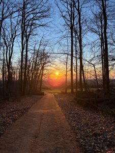 Es grüßen die Mammolshainer Jäger zum Sonnenaufgang aus dem Mammolshainer Revier - Eingereicht von Alex Kilb Fotowettbewerb Mammolshain - 17